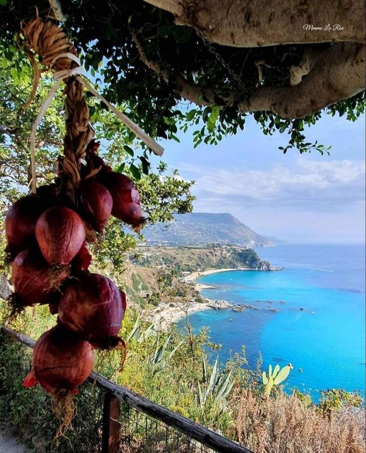 Dreams Tropea Mare "Parking Private"住宿加早餐旅馆 外观 照片